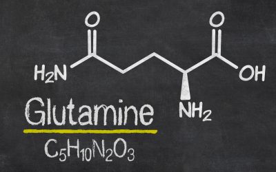 Immune Supporting Nutrients: L-Glutamine