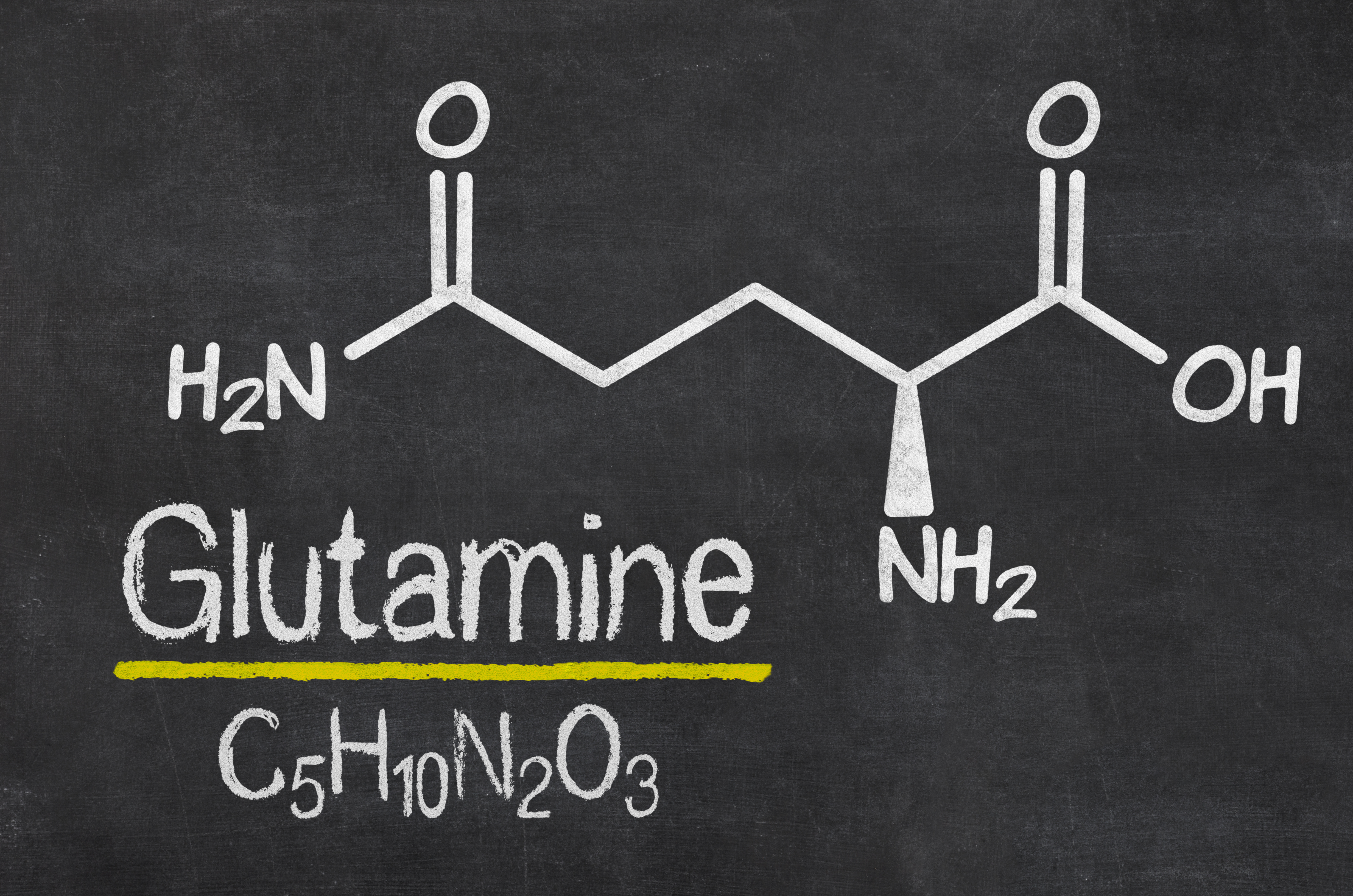 Immune Supporting Nutrients: L-Glutamine